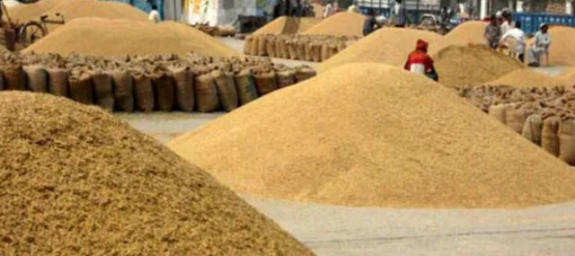 ଦଦରା ସ୍କୁଟରରେ ଧାନ ବୁହା ଘଟଣା : ତଦନ୍ତ ଦାବି କଲେ ବିେରାଧୀ-ଶାସକ