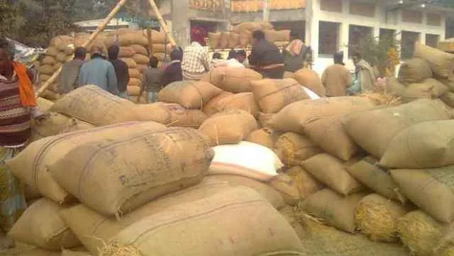 ଡିସେମ୍ବରରୁ ୧୦ ଜିଲ୍ଲାରେ ଧାନକିଣା