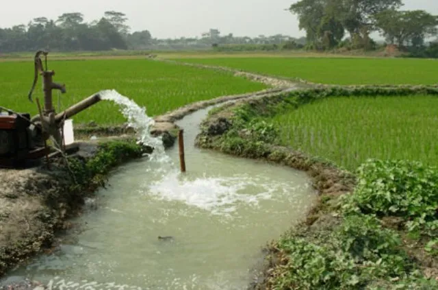 ଭଦ୍ରକ କାଡ଼ା ଡିଭିଜନ୍‌ରେ ଲୁଟ୍ : ୪୪ କୋଟି ଟଙ୍କା ବରବାଦ