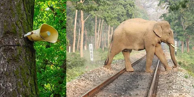 ହାତୀ ଘଉଡ଼େଇବା ପାଇଁ ରାଜ୍ୟର ବିଭିନ୍ନ ରେଳ ଧାରଣା କଡ଼ରେ ଲାଗିବ ମହୁମାଛି ଶବ୍ଦ ବାହାରୁଥିବା ମେସିନ୍‌