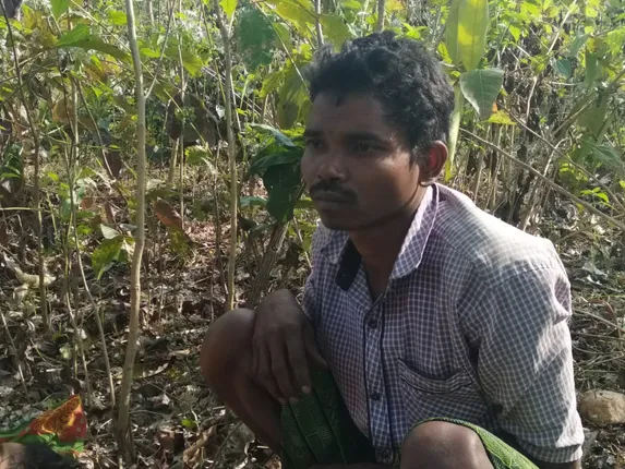 ମୟୂରଭଂଜ: ହାଟରୁ ଫେରିବା ବିଳମ୍ବ ହେବାରୁ ସ୍ତ୍ରୀକୁ ପିଟିପିଟି ହତ୍ୟା କଲା ସ୍ୱାମୀ