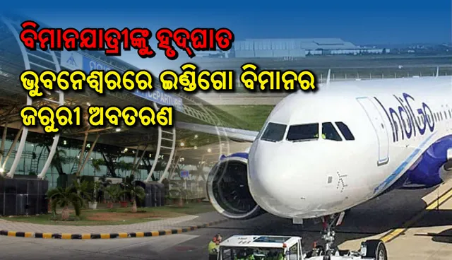 ବିମାନଯାତ୍ରୀଙ୍କୁ ହୃଦ୍‌ଘାତ, ଭୁବନେଶ୍ୱର ବିମାନବନ୍ଦରରେ ଜରୁରୀ ଅବତରଣ କଲା ଇଣ୍ଡିଗୋ ବିମାନ
