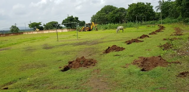 ଓଏଫ୍‌ଡିସିର ବନୀକରଣ କେଳେଙ୍କାରୀ : ଲକ୍ଷ ଲକ୍ଷ ଗଛ ଉଭାନ