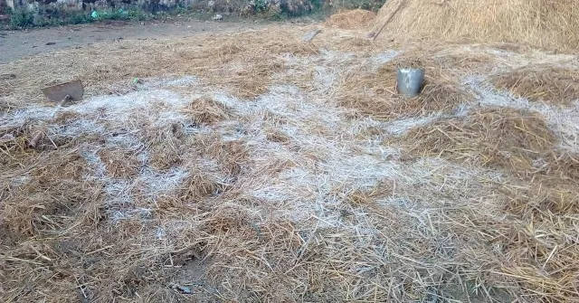 ରେକର୍ଡ ଭାଙ୍ଗିଲା ଥଣ୍ଡା : ୧୦ ଡିଗ୍ରି ତଳେ ୧୩ ସହର