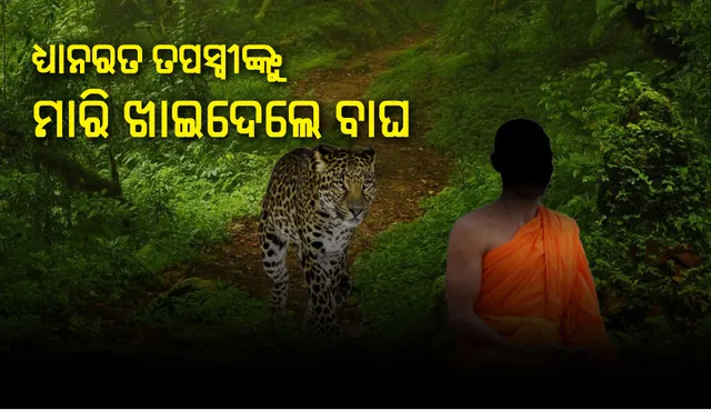 ତପସ୍ୟାରତ ସନ୍ନ୍ୟାସୀଙ୍କୁ ମାରି ଖାଇଦେଲେ ବାଘ