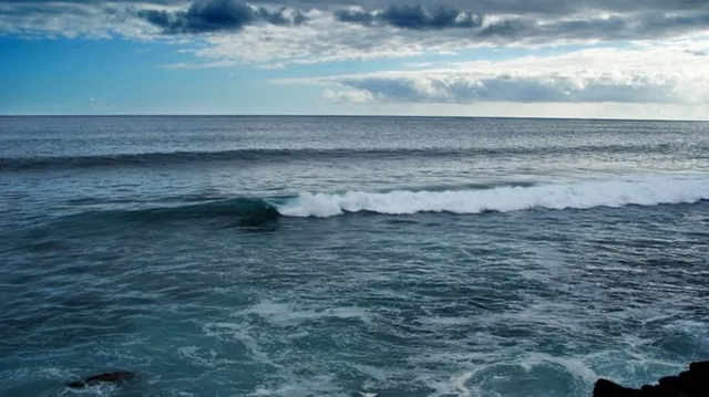 ସମୁଦ୍ରରେ ଉତ୍ତରପ୍ରଦେଶର ଦୁଇ ଯୁବକ ନିଖୋଜ, ସେନା ବାହିନୀରେ ନିଯୁକ୍ତି ପରୀକ୍ଷା ଦେବାକୁ ଆସିଥିଲେ