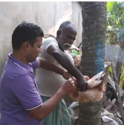 ଭିତରକନିକାରେ ବାର୍ଡଫ୍ଲୁ ଆଶଙ୍କା ୩୧୪ ନମୁନା ସ˚ଗ୍ରହ