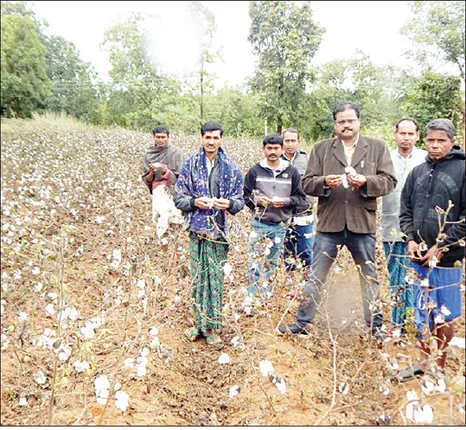 ‘ପେଥାଇ’ ବିତ୍ପାତ, ଉଜାଡ଼ିଲା ଚାଷ