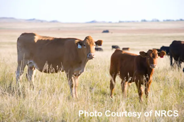 ୧୮ ବର୍ଷ ହେଲା ଅସ୍ତିତ୍ବ ହରାଇଛି କାଞ୍ଜିଆହୁଦା