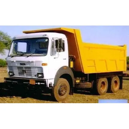 ଗଡ଼ୁଥିବା ଗାଡ଼ିକୁ ଅଟକାଇବାକୁ ଯାଇ ଟ୍ରକ୍ ଡ୍ରାଇଭର ମୃତ