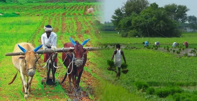 କୃଷି ଋଣଛାଡ଼ : ବୋଝ ଟପିପାରେ ୫ ଲକ୍ଷ କୋଟି