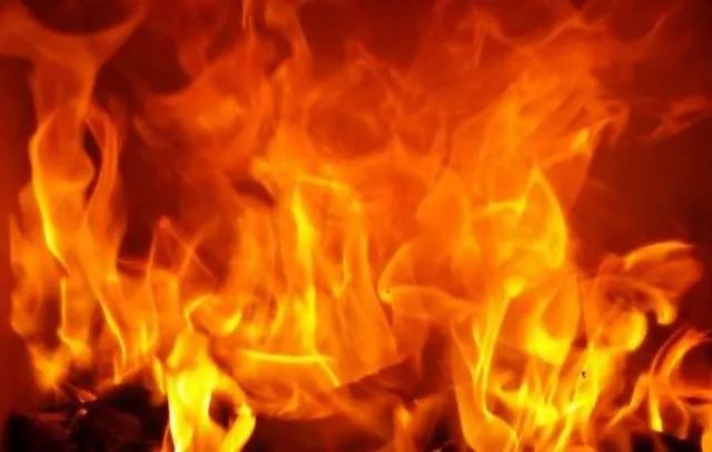 ଗ୍ୟାସ୍‌ ଲିକ୍‌ରୁ ଅଗ୍ନିକାଣ୍ତ ଘଟଣା : ଆଖି ବୁଜିଲେ ମା’-ପୁଅ