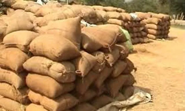 ଧାନକିଣା କେଳେଙ୍କାରୀ : ଭାଗଚାଷୀଙ୍କୁ ଶୋଷଣ