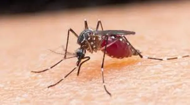 ବିଶ୍ବ ମ୍ୟାଲେରିଆ ରିପୋର୍ଟରେ ଓଡ଼ିଶା ମଡେଲ