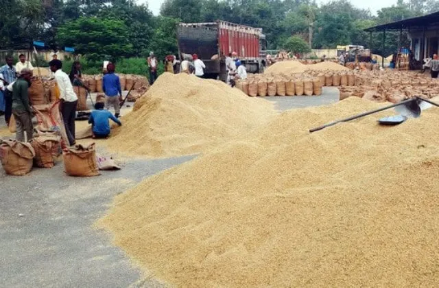 ସରକାରଙ୍କ ବିଚିତ୍ର ଧାନ କିଣା ନୀତି : ମାଡ଼ି ବସିଛନ୍ତି ଚାଷୀଙ୍କ ଟଙ୍କା