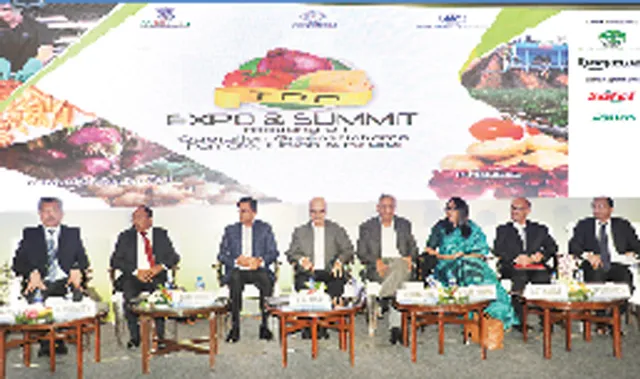 ବର୍ଷକୁ ୧୩ ଲକ୍ଷ ଟନ୍ ଟମାଟୋ ଉତ୍ପାଦନ