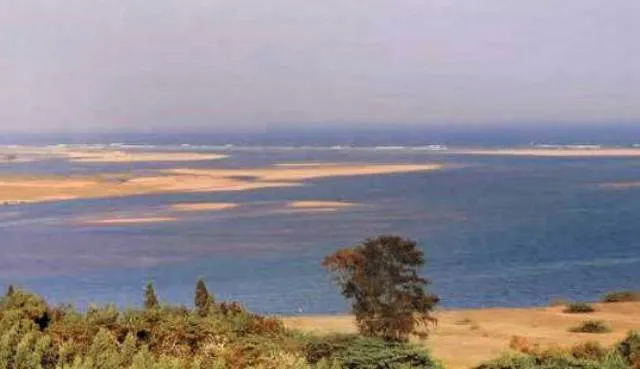 ଆନ୍ଧ୍ରପ୍ରଦେଶ-ଓଡ଼ିଶା ବଂଶଧାରା ବିବାଦ : ଆଜି ଆସୁଛନ୍ତି ଟ୍ରିବ୍ୟୁନାଲ୍ ସଦସ୍ୟ