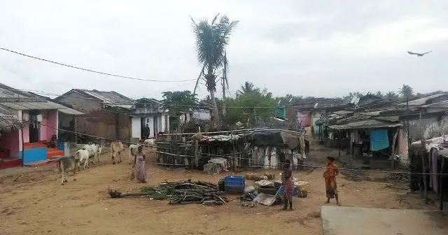 ନିରନ୍ତର ବିକାଶ ରିପୋର୍ଟରେ ଓଡ଼ିଶା ‘ପ୍ରଦର୍ଶନକାରୀ’