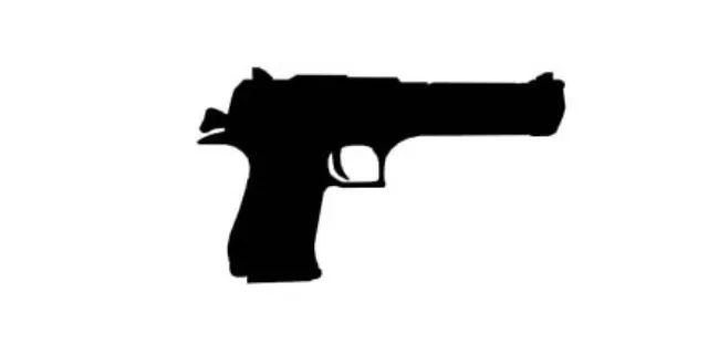 ଚୋରା ବନ୍ଧୁକ ବ୍ୟବସାୟୀ ଗିରଫ, ବନ୍ଧୁକ ଜବତ