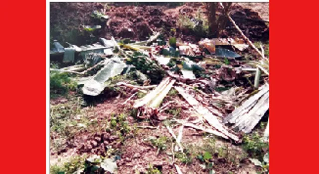 ଦନ୍ତା ଉତ୍ପାତ, ବ୍ୟାପକ କ୍ଷୟକ୍ଷତି