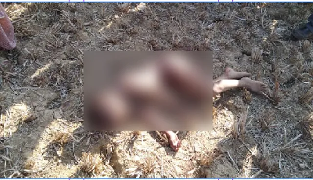 ୭ ବର୍ଷର ଛାତ୍ରକୁ କାମୁଡ଼ି ମାରିଦେଲା ଅଜଣା ବନ୍ୟଜନ୍ତୁ