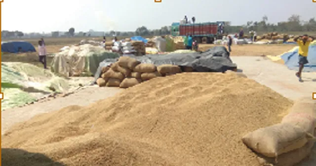 ବିନା ଟୋକନରେ ଧାନ ବିକ୍ରି! ଚକୁଳି ମଣ୍ଡି