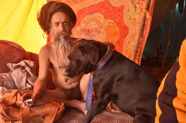 କୁମ୍ଭମେଳା : ଆକର୍ଷଣର କେନ୍ଦ୍ରରେ ନାଗାବାବାଙ୍କ ସହ ଆସିଥିବା କୁକୁର , କେଉଁ କୁକୁର ନାଁରେ ଆଧାର କାର୍ଡ ରହିଛି ତ କେଉଁ କୁକୁର ଗଙ୍ଗା ସ୍ନାନ କରୁଛି