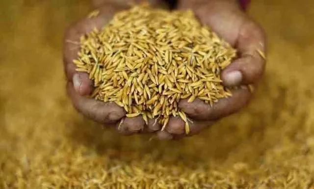 ପୂର୍ବାଞ୍ଚଳ ଖରିଫ ଫସଲ ବିପଣନ ବୈଠକ : ଧାନର ସର୍ବନିମ୍ନ ସହାୟକ ମୂଲ୍ୟ କ୍ବିଣ୍ଟାଲ ପିଛା ୨୯୩୦ଟଙ୍କା କରିବା ଉପରେ ଅର୍ଥମନ୍ତ୍ରୀଙ୍କ ଗୁରୁତ୍ବ