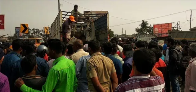 ଗୋରୁ ବୋଝେଇ ପିକ୍‌ଅପ୍‌ ଭ୍ୟାନ୍‌ ଜବତ, ୨୦ରୁ ଊର୍ଧ୍ୱ ଗୋରୁ  ଉଦ୍ଧାର