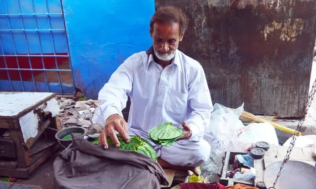 ଟମାଟୋ ପରେ ପାକିସ୍ତାନରେ ମହଙ୍ଗା ହୋଇପାରେ ପାନ: ପାକିସ୍ତାନକୁ ପାନ ପଠାଇବା ପାଇଁ ମନା କଲେ ଭାରତୀୟ ପାନଚାଷୀ