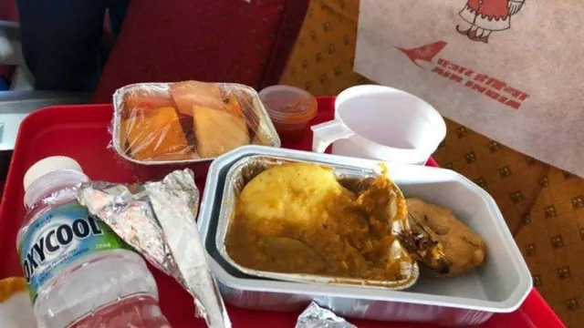 ଏୟାର ଇଣ୍ଡିଆ ବିମାନରେ ଯାତ୍ରୀଙ୍କ ଖାଦ୍ୟରେ ବାହାରିଲା ଅସରପା