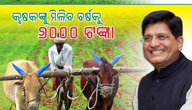 ୨୦୧୯-୨୦ କାମଚଳା ବଜେଟ୍‌:  କୃଷକଙ୍କୁ ମିଳିବ ବାର୍ଷିକ ୬ ହଜାର ଟଙ୍କା;  ଉପକୃତ ହେବେ ୧୨ କୋଟି ଚାଷୀ