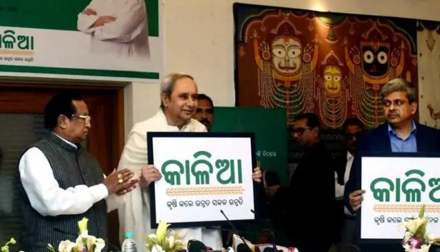 ଆଜି ଦ୍ୱିତୀୟ ପର୍ଯ୍ୟାୟରେ ଚାଷୀ ପାଇବେ ‘କାଳିଆ’ ଟଙ୍କା