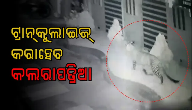 କଲରାପତ୍ରିଆ ଧରିବାକୁ ପହଞ୍ଚିଲେ ଟ୍ରାଙ୍କ୍ୟୁଲାଇଜର୍‌ ଟିମ୍‌