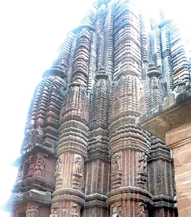 ରାଜାରାଣୀ ମନ୍ଦିର ପକ୍ଷୀଙ୍କ ପାଇଖାନା