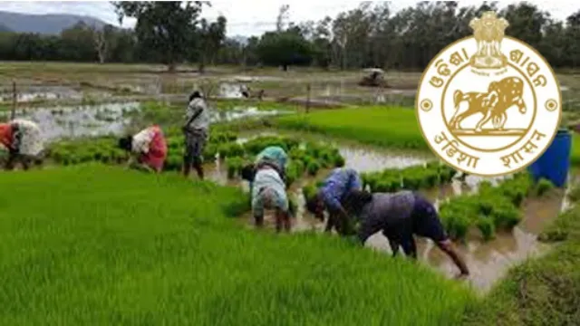 କୃଷି ବିଭାଗର ୪ ଅଧିକାରୀଙ୍କୁ ପଦୋନ୍ନତି