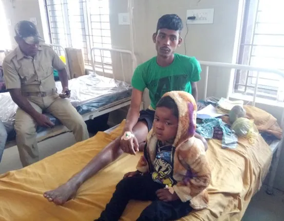 ହାତୀ ଆକ୍ରମଣରେ ୩ ଆହତ