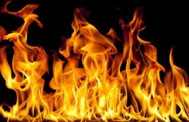 ଜଳିଗଲେ ପରିବାରର ୪