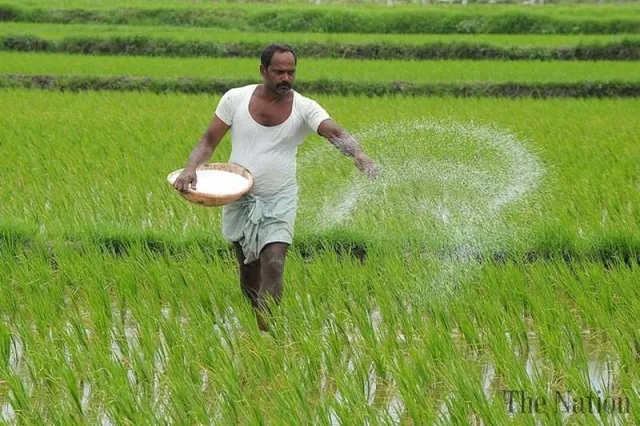 ଶୀତଳ ଏଗ୍ରୋର ଧାନରୁଆ ମେସିନ କେଳେଙ୍କାରୀ: ଖାଇଗଲେ ସବ୍‌ସିଡି, ଚାଷୀ ଜଳକା