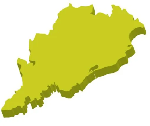 ସ୍ବତନ୍ତ୍ର ରାଜ୍ୟ ପାହ୍ୟା ଦାବି : ଭାଷଣ, ଚିଠିରେ ୪୦ ବର୍ଷ