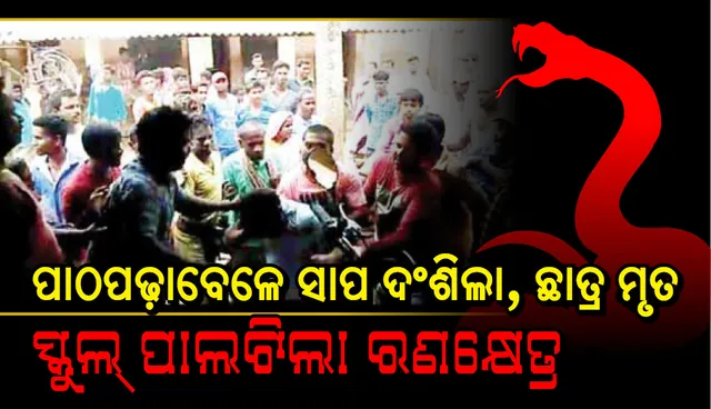 ପାଠପଢ଼ାବେଳେ ସାପ ଦଂଶିଲା, ଛାତ୍ର ମୃତ, ସ୍କୁଲ୍‌ ପାଲଟିଲା ରଣକ୍ଷେତ୍ର