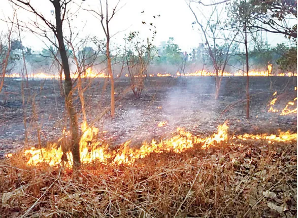 ଗୁରୁ କେଳୁଚରଣ ମହାପାତ୍ର ପାର୍କରେ ନିଆଁ, ଅଳ୍ପକେ ବର୍ତ୍ତିଲେ ଶତାଧିକ ଲୋକ