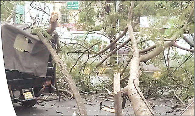 ରାଜଧାନୀରେ କାଳବୈଶାଖୀ: ଗଛ ଉପୁଡ଼ିଲା, ଅଟୋ ଭାଙ୍ଗିଲା