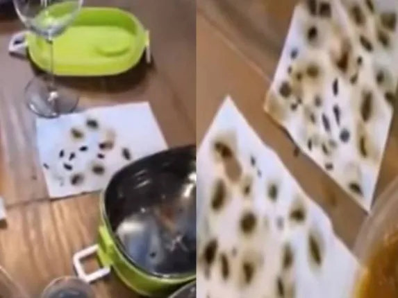 ଅନ୍‌ଲାଇନ୍‌ ଅର୍ଡର କରିଥିଲେ ଖାଦ୍ୟ, ଡେଲିଭର ହେବା ପରେ ଖାଦ୍ୟ ପ୍ୟାକେଟ୍‌ରୁ ବାହାରିଲା ୪୦ଟି ମଲା ଅସରପା