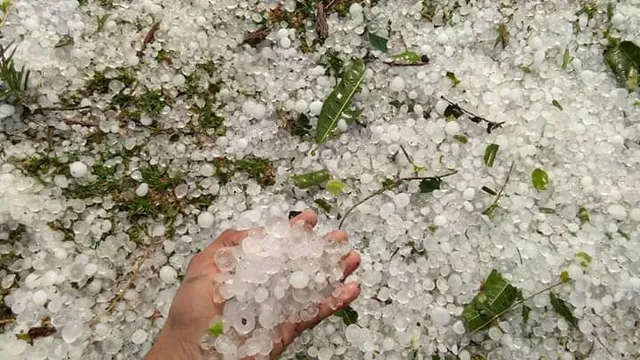 ଯାଜପୁରରେ କୁଆପଥର ବର୍ଷା, ବ୍ୟାପକ ପନିପରିବା ଚାଷ କ୍ଷତି