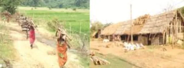 ଢିପାମାଳ ସମେତ ତିନିଟି ଗାଁ ଏବେ ବି ଅବହେଳିତ, ନାଲିଫିତା ତଳେ ଆଦିବାସୀଙ୍କ ବିକାଶ