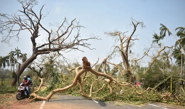 ‘ଫନି’ ଯୋଗୁଁ ୧୦ ହଜାରରୁ ଅଧିକ ବିଦ୍ୟୁତ୍‌ ଖୁଣ୍ଟ ଭାଙ୍ଗିଛି, ୨୯ ଲକ୍ଷ ଉପଭୋକ୍ତା ପ୍ରଭାବିତ ହୋଇଛନ୍ତି: ସେସୁ