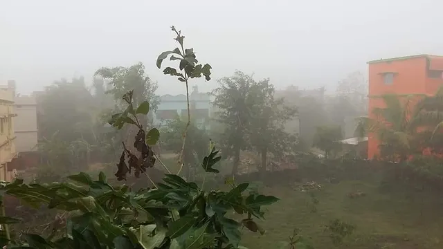 ଜୟପୁରରେ ଗ୍ରୀଷ୍ମ ଋତୁରେ କୁହୁଡ଼ି। (ଫଟୋ: ଶ୍ରୀକାନ୍ତ)