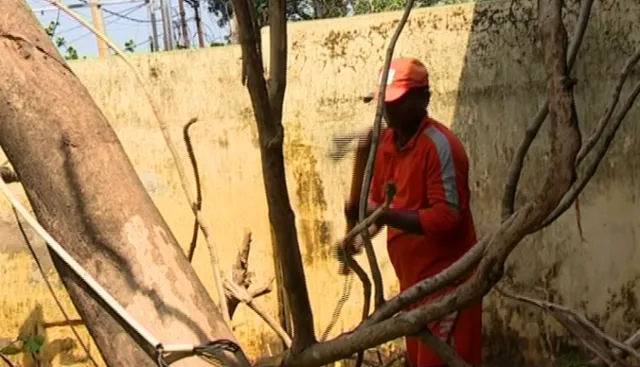 ଭୁବନେଶ୍ୱରରେ ଜାରି ରହିଛି ପୁନଃରୁଦ୍ଧାର କାର୍ଯ୍ୟ, ବିଭିନ୍ନ ସ୍ଥାନରେ ଗଛ ହଟାଇବାରେ ବ୍ୟସ୍ତ ଅଛନ୍ତି ଏନଡିଆରଏଫ ଟିମ