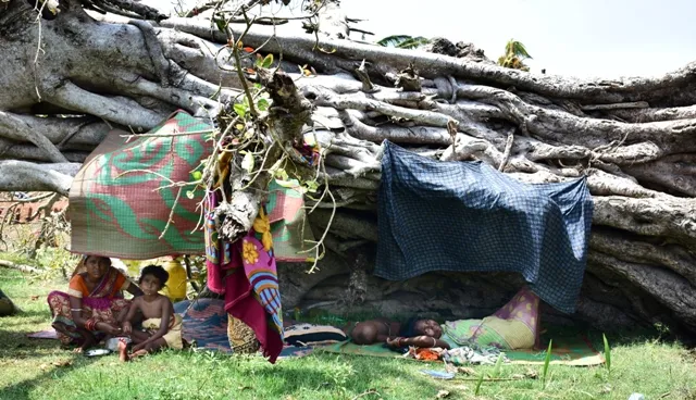 ଦଳିତ ବୋଲି କେହି ଆଶ୍ରା ଦେଲେନି